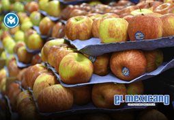 Periodista mexicano relat&oacute; su experiencia tras dar cobertura en Venezuela