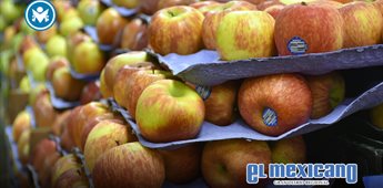M&eacute;xico abre investigaci&oacute;n antidumping contra importaciones de manzana de EU