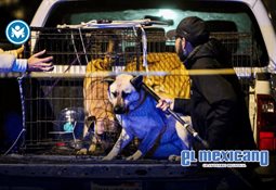 Tormenta invernal afectar&aacute; Baja California del 9 al 11 de enero