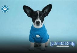 Chumel Torres lanza CHAIROK, app para ironizar sobre las tragedias en México Chumel Torres lanza CHAIROK, app para ironizar sobre las tragedias en México