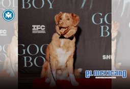 Kendall Jenner desmiente rumores de cirug&iacute;a est&eacute;tica: "Nunca me he operado"