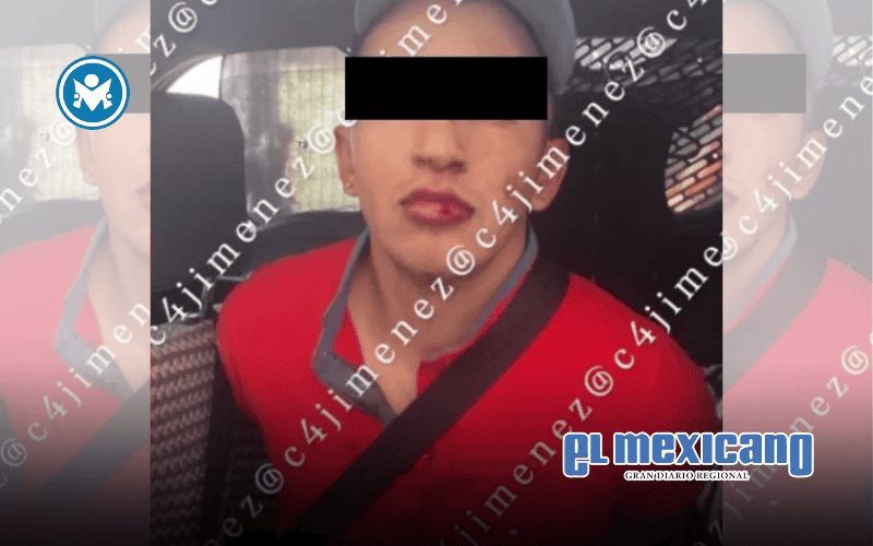 Vecino mata a dos perros en Magdalena Contreras y propietario lo ejecuta en venganza