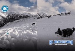 Asalto armado en taquer&iacute;a "El Asadito" deja un muerto y un herido en Amozoc