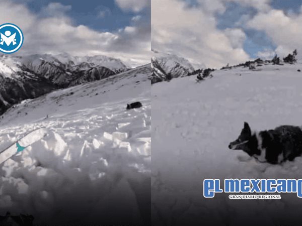 Ares Masip se salva de avalancha en Andorra junto a su perro