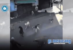 Un tercio de los j&oacute;venes no acude al dentista