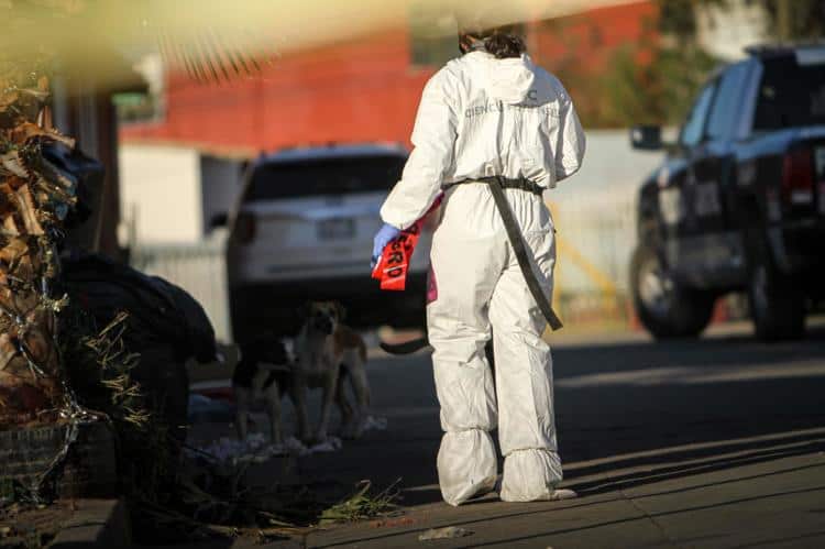 imagen-cuerpo imagen-cuerpo