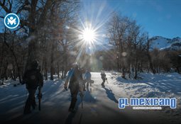 Agentes de ICE rompen cristal de auto y arrestan a ciudadano