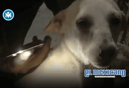 Nueva Ley Aduanera eleva la exigencia sobre importaciones y logística en México Nueva Ley Aduanera eleva la exigencia sobre importaciones y logística en México