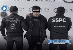 Captan a jaguar en Parque Nacional de Tulum Captan a jaguar en Parque Nacional de Tulum