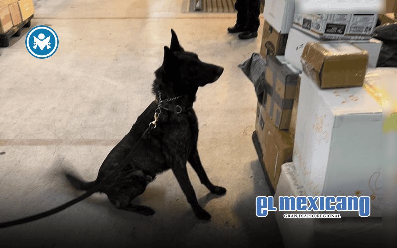 Aseguran en el AICM paquete con fentanilo proveniente de Asia