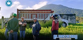 Fortalece Nación Verde empleos verdes en comunidades ejidales Fortalece Nación Verde empleos verdes en comunidades ejidales
