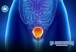 Reafirman alianzas con asociaciones de la sociedad Civil en atención de grupos prioritarios Reafirman alianzas con asociaciones de la sociedad Civil en atención de grupos prioritarios