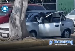 Sheinbaum recibe a gobernadora general de Canad&aacute;