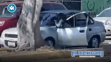 Mujer se colg&oacute; de autom&oacute;vil para evitar que le robaran