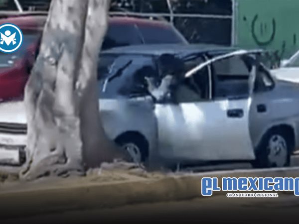 Mujer se colg&oacute; de autom&oacute;vil para evitar que le robaran