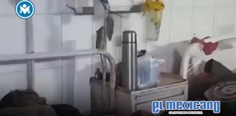 Ratas en hospital público desatan indignación en India Ratas en hospital público desatan indignación en India