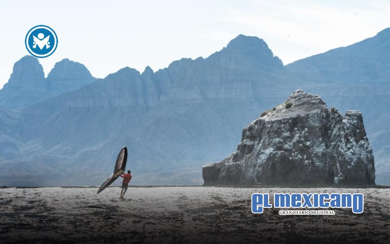 Foil Baja California Sur 2026: &Eacute;xito total en la traves&iacute;a de foil por el Mar de Cort&eacute;s