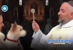 Finales polémicos: por qué las series más exitosas terminan decepcionando Finales polémicos: por qué las series más exitosas terminan decepcionando