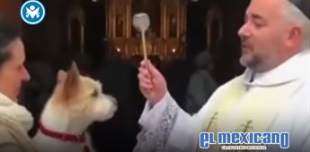 ¡Ni el agua bendita lo calma! Perrito gruñe en bendición de mascotas ¡Ni el agua bendita lo calma! Perrito gruñe en bendición de mascotas