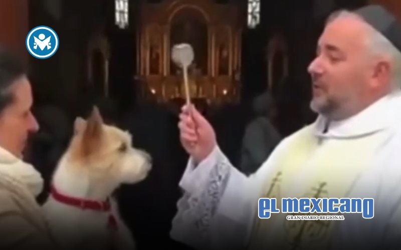 ¡Ni el agua bendita lo calma! Perrito gruñe en bendición de mascotas ¡Ni el agua bendita lo calma! Perrito gruñe en bendición de mascotas