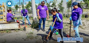 Conecta Nación Verde a empresas con la restauración ecológica Conecta Nación Verde a empresas con la restauración ecológica