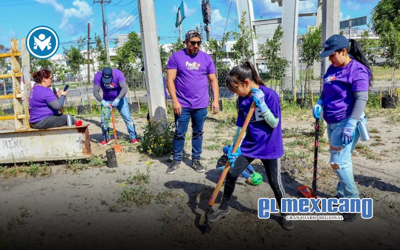 Conecta Nación Verde a empresas con la restauración ecológica Conecta Nación Verde a empresas con la restauración ecológica