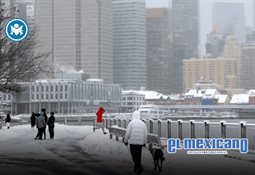 Protestas contra ICE sacuden Minneapolis tras muerte de Alex Pretti