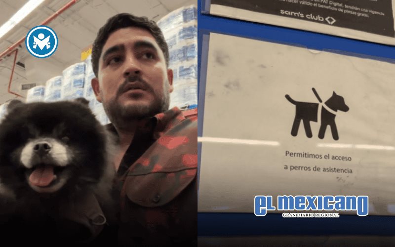 Edúquese: Mujer enfrenta a joven por llevar a su perro a un supermercado Edúquese: Mujer enfrenta a joven por llevar a su perro a un supermercado