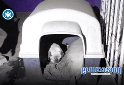 Localizan a hombre sin vida con mensaje amenazante en carretera Tijuana–Tecate