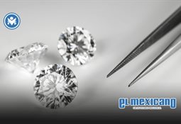 Ryan James Wedding se declara no culpable de 17 cargos por narcotr&aacute;fico en EU