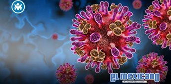 Virus Nipah en India: brote detectado con cinco casos y vigilancia activa Virus Nipah en India: brote detectado con cinco casos y vigilancia activa