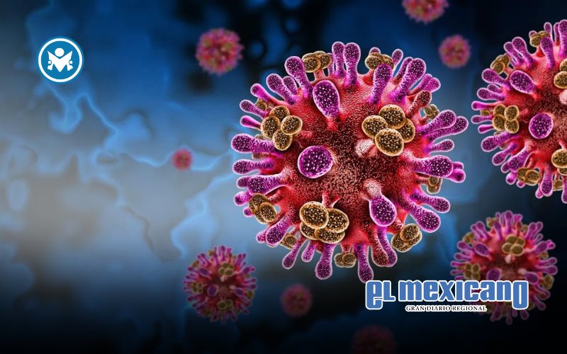 Virus Nipah en India: brote detectado con cinco casos y vigilancia activa Virus Nipah en India: brote detectado con cinco casos y vigilancia activa