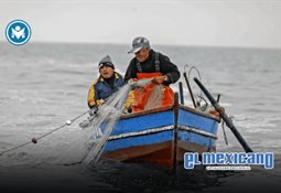 Vitamina E, el secreto antioxidante de las celebridades para mantenerse j&oacute;venes y activas