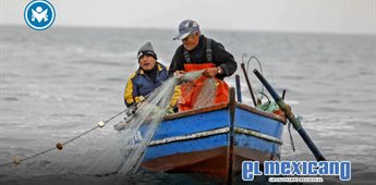 Día Mundial del Pescador: homenaje a quienes sostienen mares, ríos y comunidades Día Mundial del Pescador: homenaje a quienes sostienen mares, ríos y comunidades