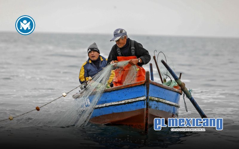 Día Mundial del Pescador: homenaje a quienes sostienen mares, ríos y comunidades Día Mundial del Pescador: homenaje a quienes sostienen mares, ríos y comunidades