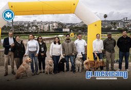 Marina del Pilar anuncia cambios estrat&eacute;gicos en su gabinete