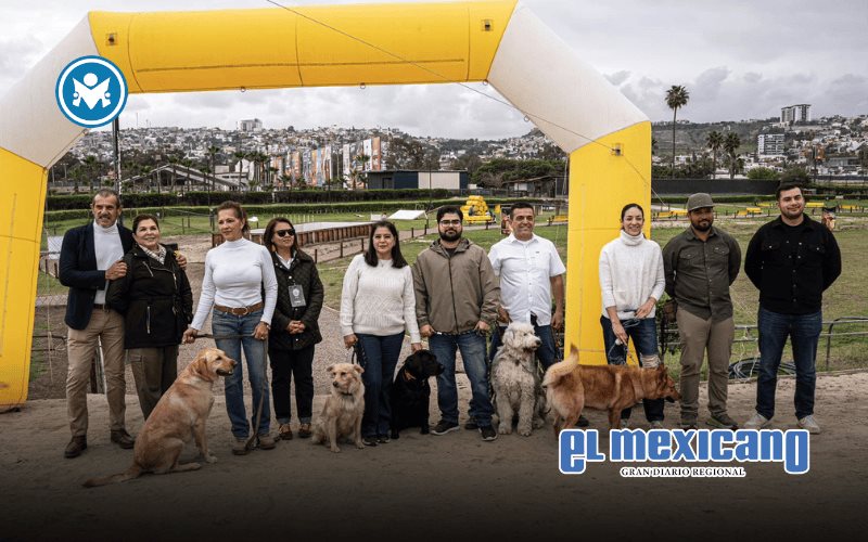 Certifican en BC a la primera generaci&oacute;n de perros de zooterapia