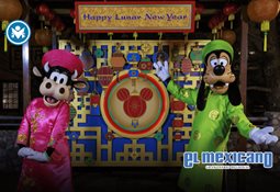 Vitamina E, el secreto antioxidante de las celebridades para mantenerse j&oacute;venes y activas