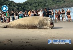 Corona y Modelo Especial destacan en el ranking Brand Finance Global 500 2026