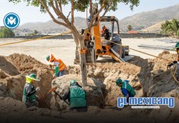 Guadalupe Cu&eacute;llar Escoto asume la direcci&oacute;n del INDIVI