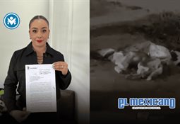 Brote de varicela obliga a suspender clases en la Secundaria General No. 76 Francisco I. Madero