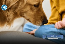 Muere bebé de un año por sarampión en Tlaxcala