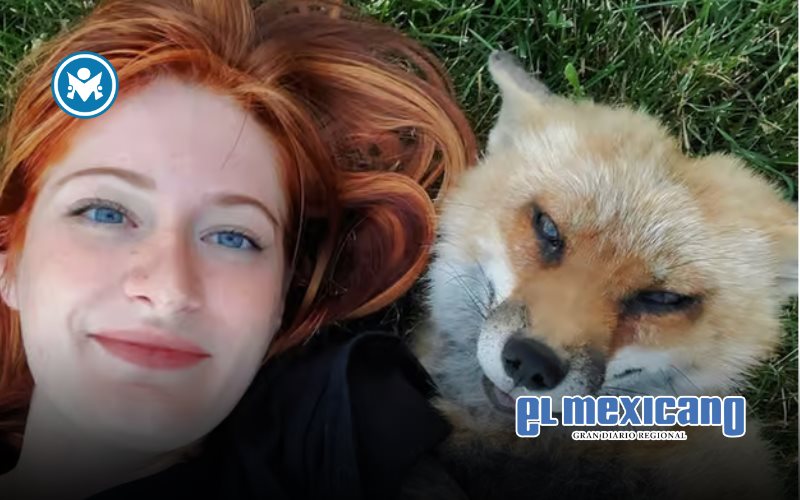 Muere Finnegan, el emblem&aacute;tico zorro de Save A Fox