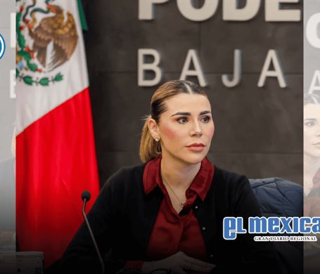 Golpe a producción de droga en Baja California Golpe a producción de droga en Baja California