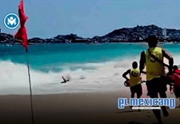 Pol&eacute;mica por comentarios de podcast Viejos Gachos donde sugieren "desaparecer" animales callejeros