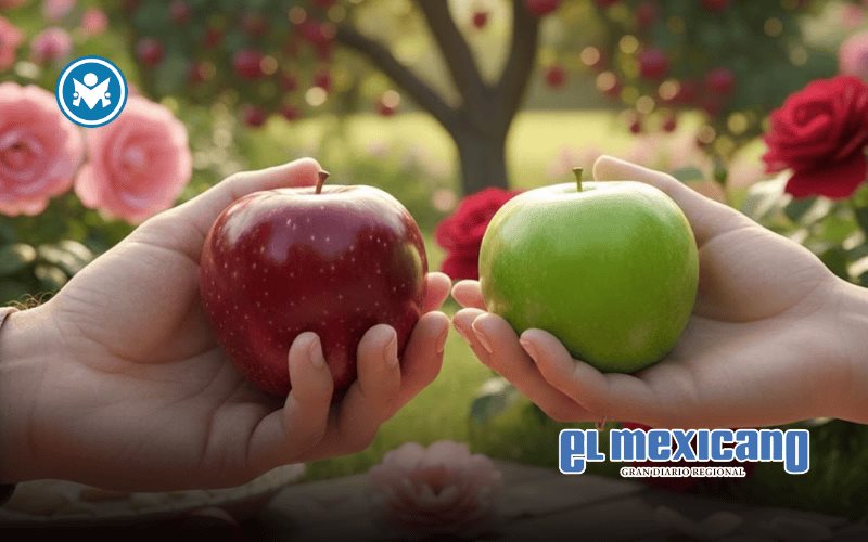 Manzanas, el regalo simb&oacute;lico que combina amor y bienestar este San Valent&iacute;n