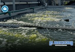 Sheinbaum reivindica la Constituci&oacute;n de 1917 y afirma que M&eacute;xico no se doblega ni se vende