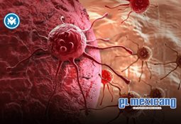 HEINEKEN M&eacute;xico celebra el sabor y la convivencia en Naci&oacute;n de Vinos 2026