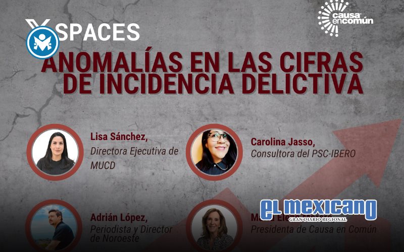 Distorsi&oacute;n de cifras delictivas en 2025: estudio denuncia manipulaci&oacute;n de registros oficiales