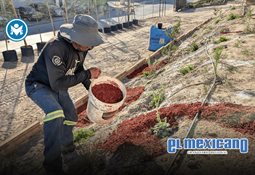 Ismael Burgue&ntilde;o afirma que detenci&oacute;n del vicepresidente de Canaco fue por "obstrucci&oacute;n a la justicia"